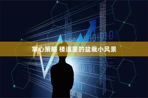 掌心策略 楼道里的盆栽小风景