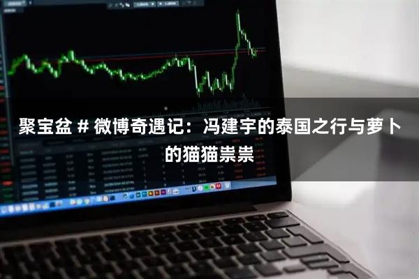 聚宝盆 # 微博奇遇记：冯建宇的泰国之行与萝卜的猫猫祟祟