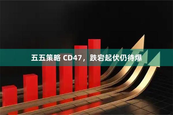 五五策略 CD47，跌宕起伏仍待爆