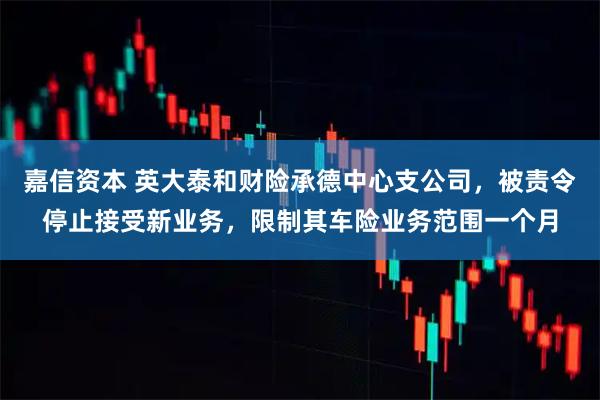 嘉信资本 英大泰和财险承德中心支公司，被责令停止接受新业务，限制其车险业务范围一个月