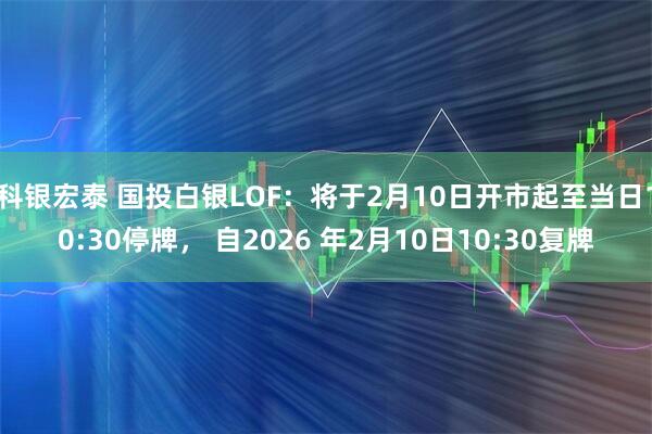 科银宏泰 国投白银LOF：将于2月10日开市起至当日10:30停牌， 自2026 年2月10日10:30复牌