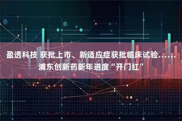 盈透科技 获批上市、新适应症获批临床试验……浦东创新药新年进度“开门红”