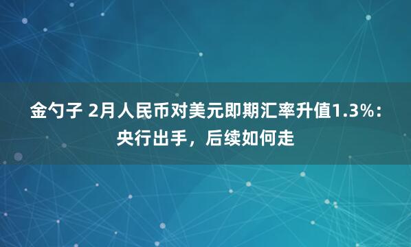 金勺子 2月人民币对美元即期汇率升值1.3%：央行出手，后续如何走