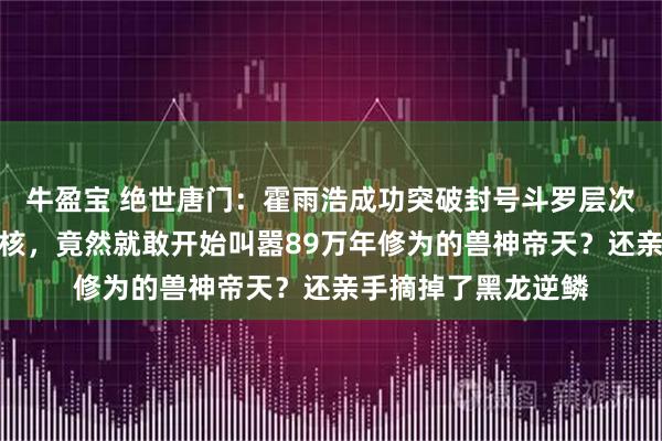 牛盈宝 绝世唐门：霍雨浩成功突破封号斗罗层次修炼出阴阳互补魂核，竟然就敢开始叫嚣89万年修为的兽神帝天？还亲手摘掉了黑龙逆鳞